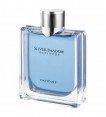 Davidoff Silver Shadow Altitude – 100 ML