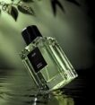 Zataru Signature – Jade Extrait de Parfum – 50 ML