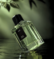 Zataru Signature – Jade Extrait de Parfum – 100 ML